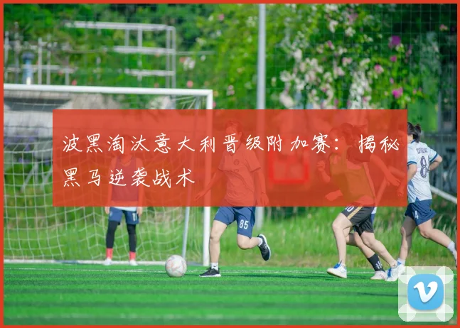 波黑淘汰意大利晋级附加赛：揭秘黑马逆袭战术