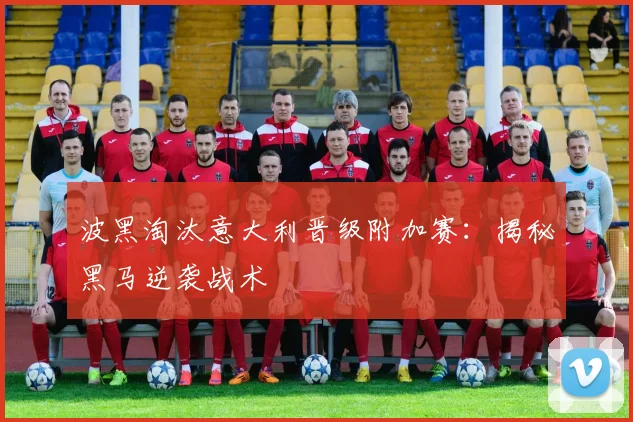 波黑淘汰意大利晋级附加赛：揭秘黑马逆袭战术